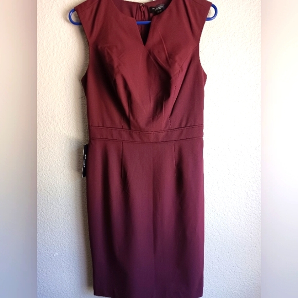 The Limited Dresses & Skirts - NWT Dress